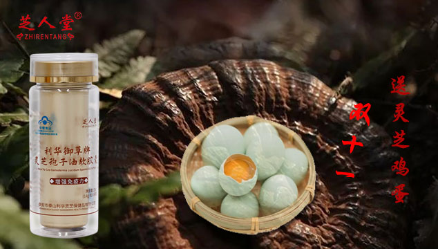 灵芝孢子油,灵芝孢子油优惠活动,灵芝鸡蛋,双11灵芝孢子油套餐
