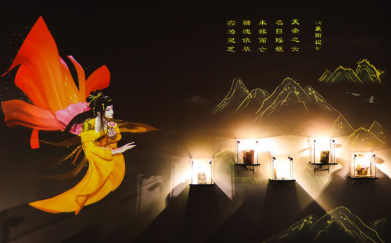 灵芝博物馆(图3)