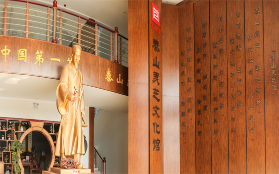 灵芝博物馆(图9)