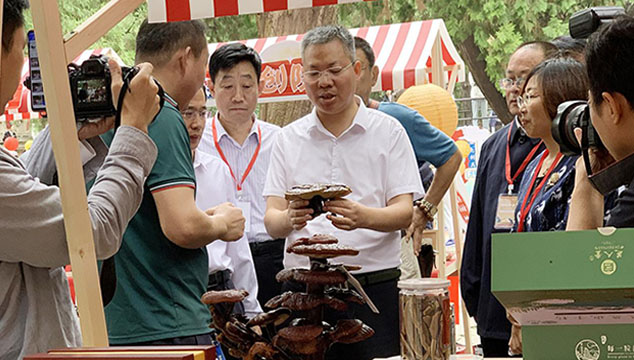 芝人堂企业新闻,芝人堂资讯,芝人堂新闻,公司新闻