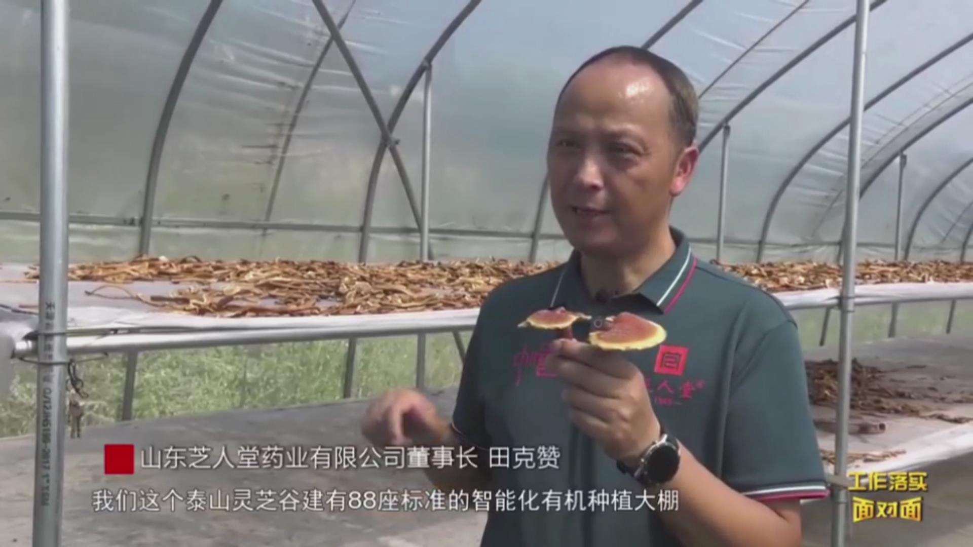 芝人堂企业新闻,芝人堂资讯,芝人堂新闻,公司新闻