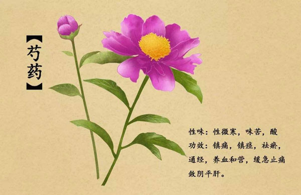 泰山药物「芍药」(图1)