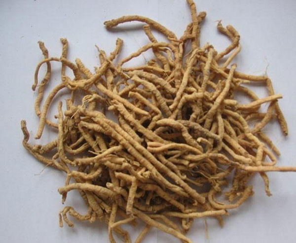 泰山药物「远志」(图1)