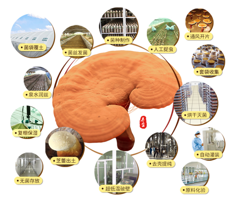 灵芝孢子粉贵还是便宜？什么价格才能买到？(图1)