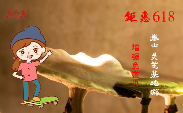 破壁灵芝孢子粉功效,灵芝孢子粉增强免疫力,破壁灵芝孢子粉增强免疫力,618灵芝孢子粉