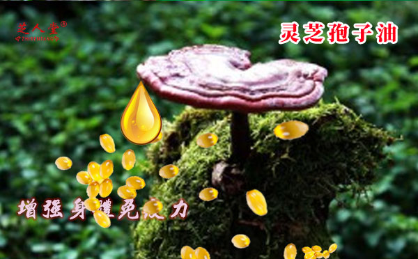 孢子油,灵芝孢子油,破壁灵芝孢子油,灵芝孢子油胶囊,破壁灵芝孢子油胶囊,灵芝孢子粉,破壁灵芝孢子粉,灵芝孢子油的质量,灵芝孢子粉胶囊