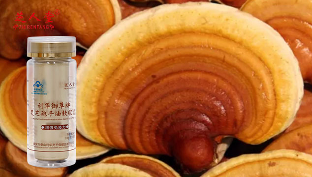 灵芝孢子油,双11灵芝孢子油,如何购买灵芝孢子油,灵芝孢子油购买
