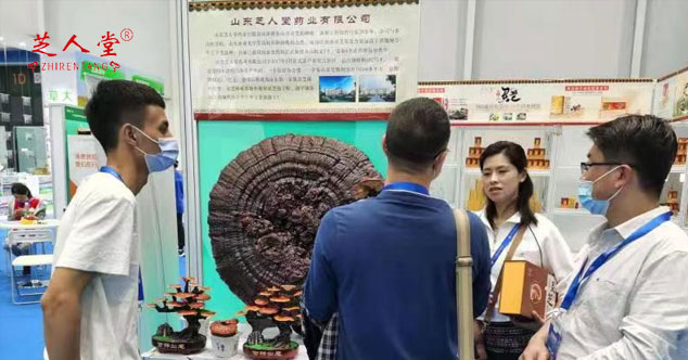 芝人堂,灵芝孢子粉,灵芝孢子油,灵芝孢子粉胶囊