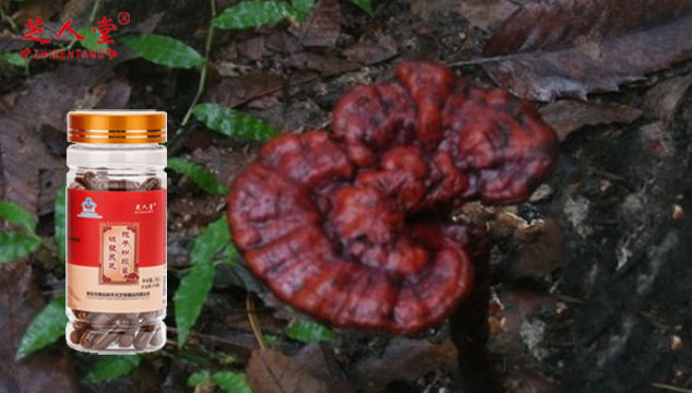 灵芝孢子粉有保质期吗 过期的还能吃吗 芝人堂灵芝孢子粉 灵芝孢子粉有保质期吗 过期的还能吃吗 芝人堂灵芝孢子粉