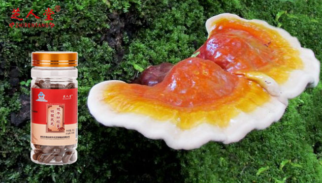 灵芝孢子粉有保质期吗 过期的还能吃吗 芝人堂灵芝孢子粉 灵芝孢子粉有保质期吗 过期的还能吃吗 芝人堂灵芝孢子粉