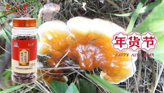 年货节购买芝人堂灵芝孢子粉划算吗,灵芝孢子粉