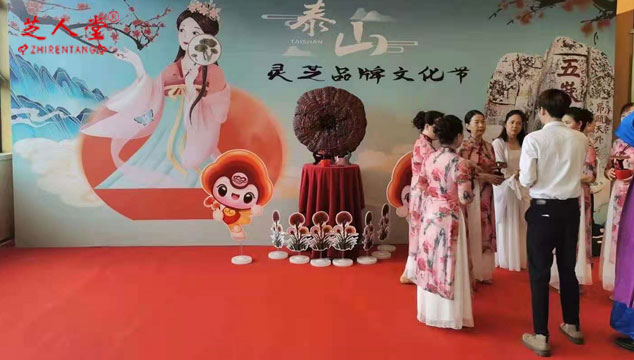 芝人堂田总受邀参加泰山灵芝品牌文化节,灵芝品牌节,芝人堂灵芝品牌节