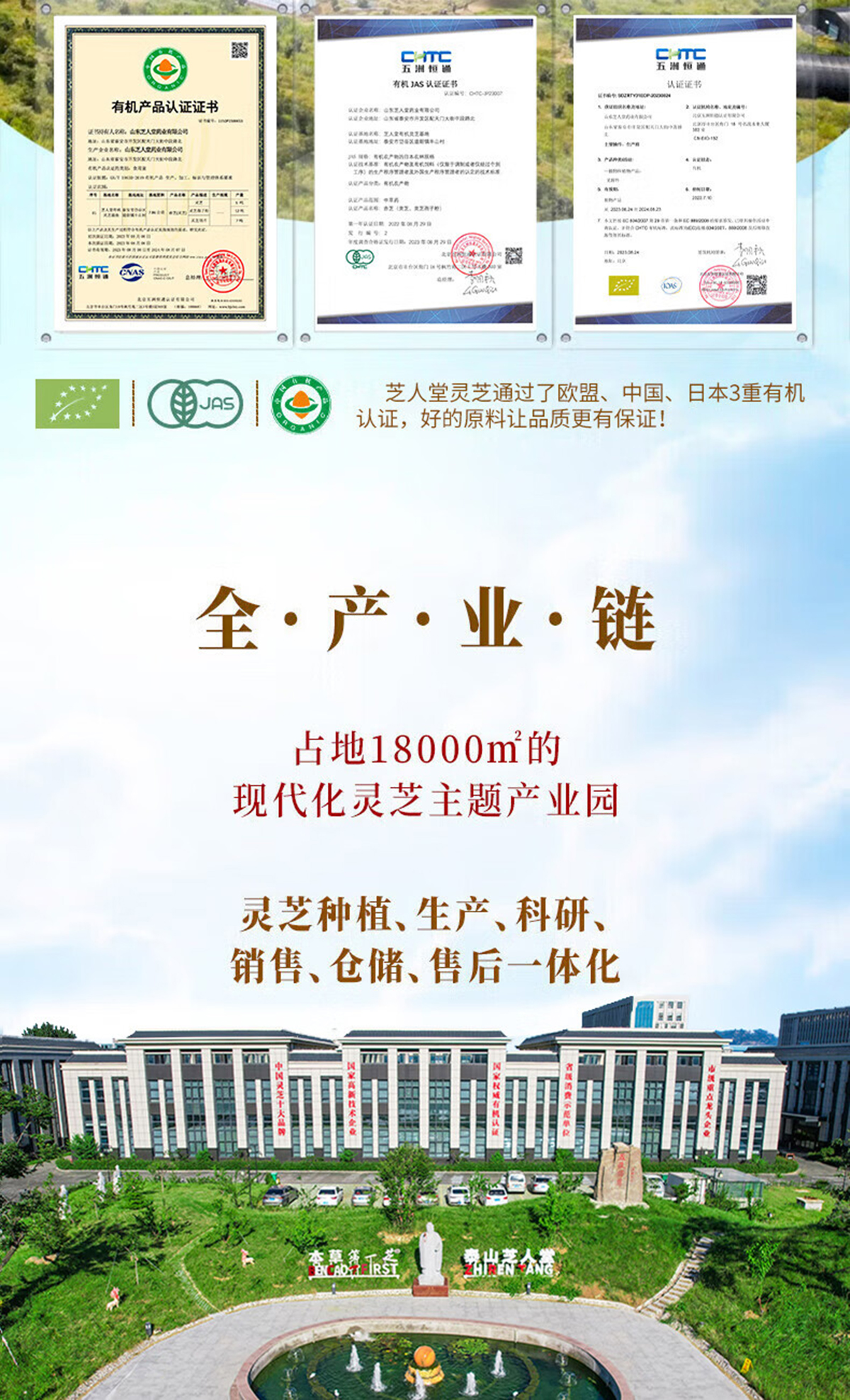 芝人堂破壁灵芝孢子粉胶囊100g/含灵芝三萜5g