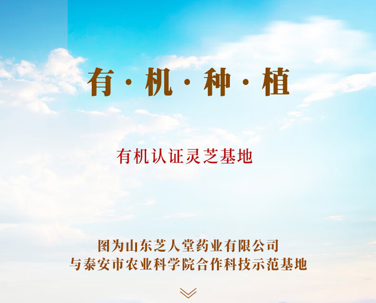 芝人堂破壁灵芝孢子粉胶囊100g/含灵芝三萜5g