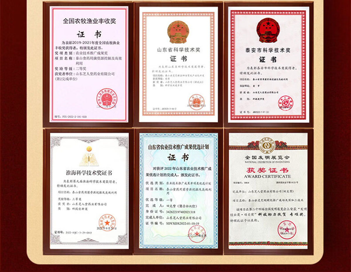 芝人堂破壁灵芝孢子粉胶囊100g/含灵芝三萜5g