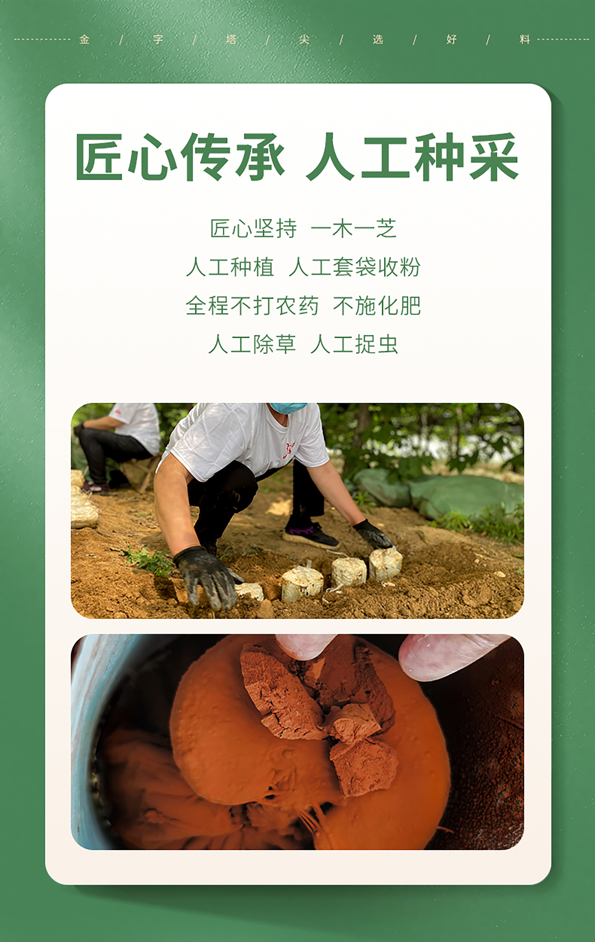 芝人堂牌破壁灵芝孢子粉1g/袋*60袋