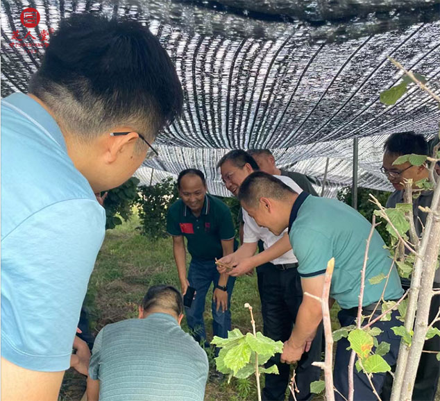 泰安市副市长冯能斌等领导莅临芝人堂调研指导