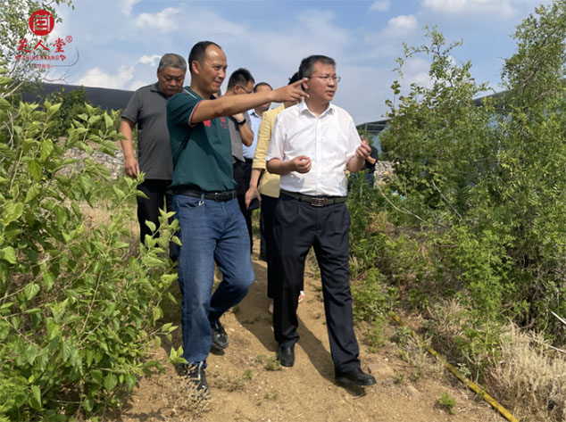 泰安市副市长冯能斌等领导莅临芝人堂调研指导