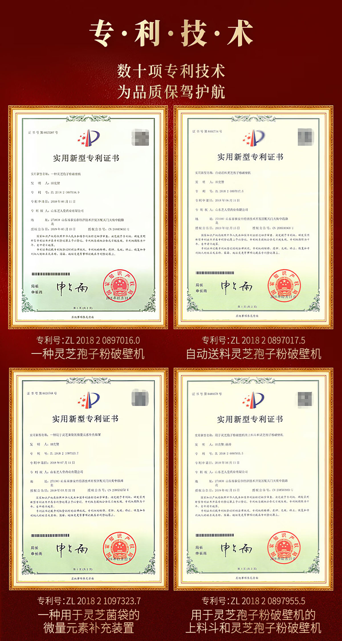 芝人堂破壁灵芝孢子粉胶囊100g/含灵芝三萜5g