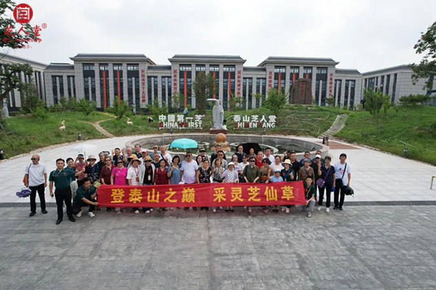 “泰山芝约”圆满结束，请到家的家人们报声平安！(图12)