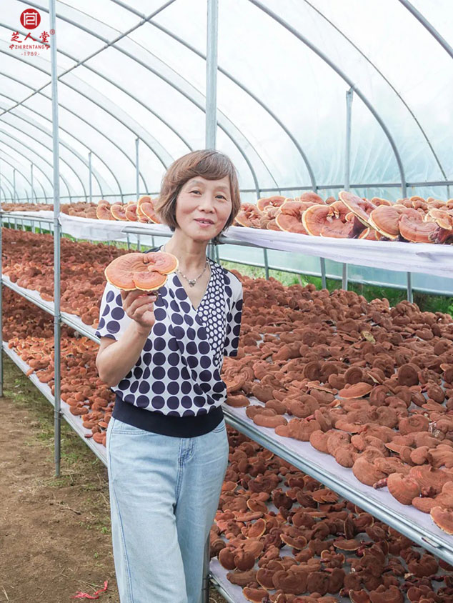 “泰山芝约”圆满结束，请到家的家人们报声平安！(图10)
