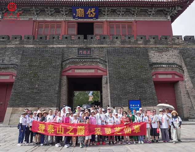 “泰山芝约”圆满结束，请到家的家人们报声平安！(图6)