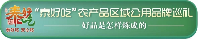 “泰好吃”品牌 芝人堂丨叫响“泰山赤灵芝”品牌 增添乡村振兴新活力(图1)