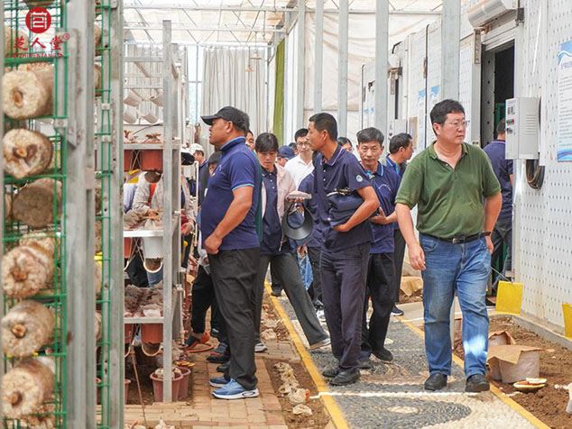 芝人堂举办泰山赤灵芝产业创新发展科普活动(图2)