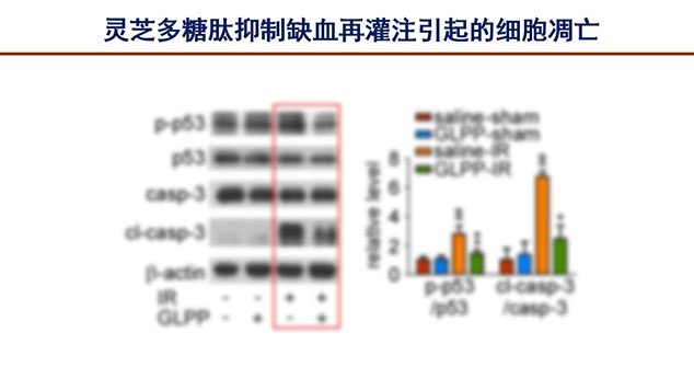 芝人堂联合北大杨宝学教授举办灵芝科普公益讲座(图9)