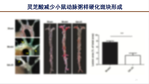 芝人堂联合北大杨宝学教授举办灵芝科普公益讲座(图7)