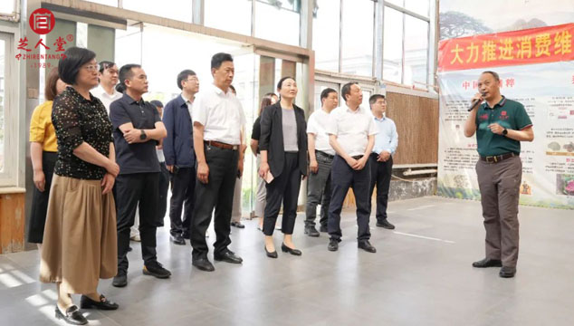 陕西安康政协莅临芝人堂调研中医药发展