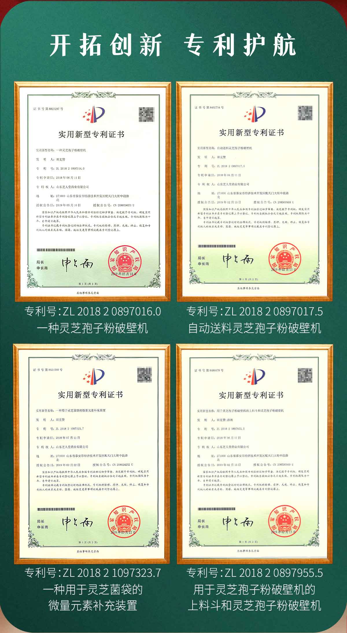 芝人堂破壁灵芝孢子粉胶囊100g/含灵芝三萜5g