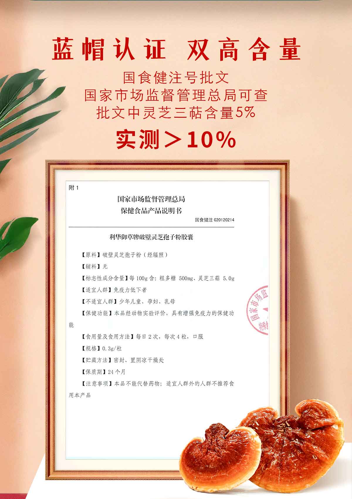 芝人堂破壁灵芝孢子粉胶囊100g/含灵芝三萜5g