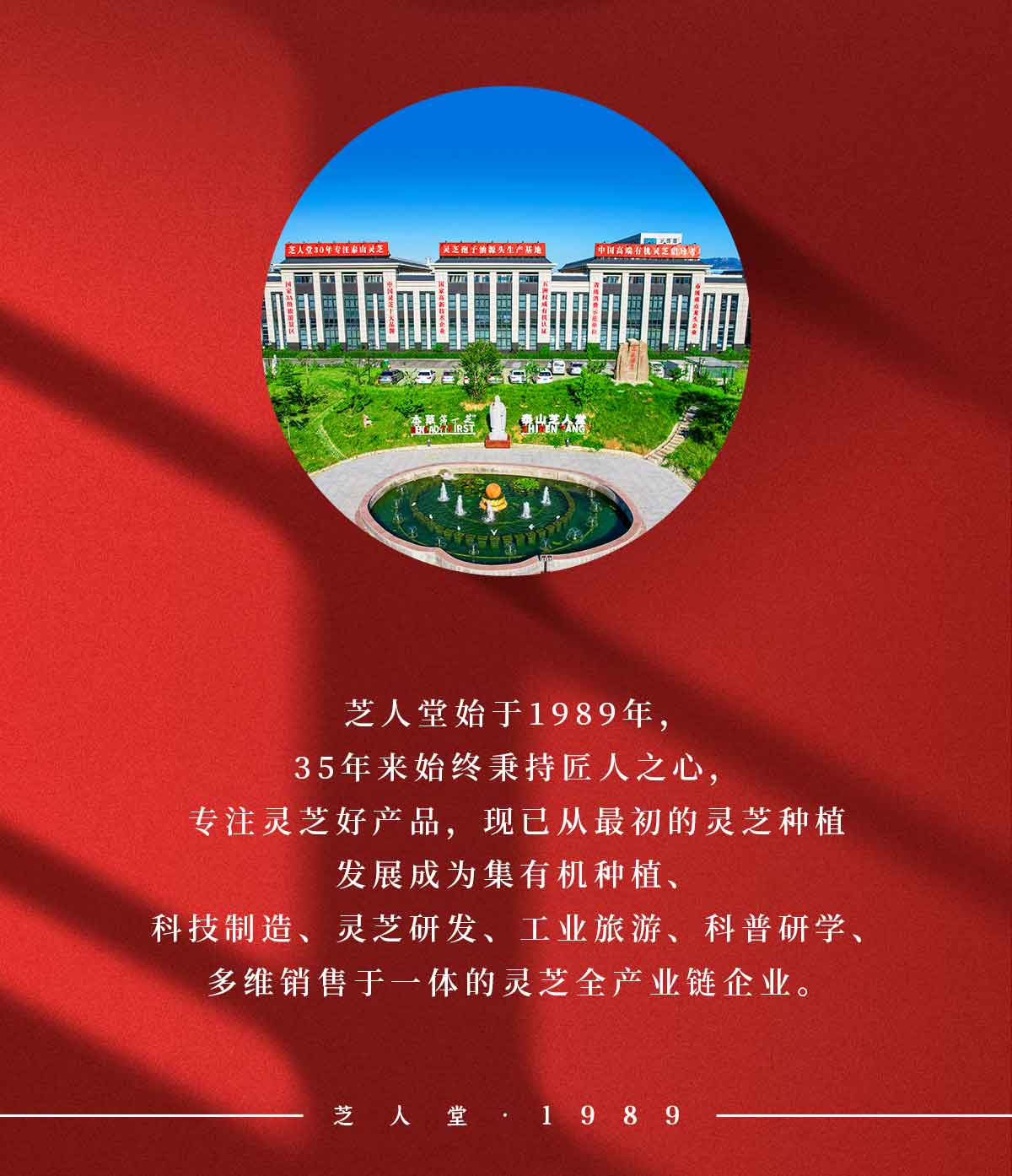 芝人堂破壁灵芝孢子粉胶囊100g/含灵芝三萜5g