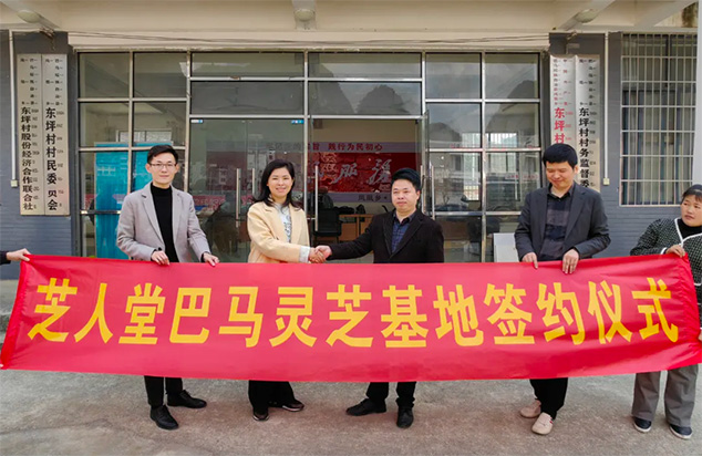 热烈祝贺芝人堂在长寿之乡巴马建设灵芝基地！(图2)
