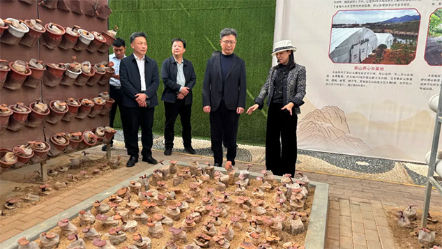 济宁市科协领导莅临芝人堂调研考察 (图2)