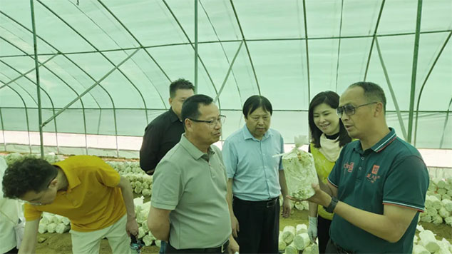 热烈祝贺中法泰山灵芝研发战略合作签约落地(图13)
