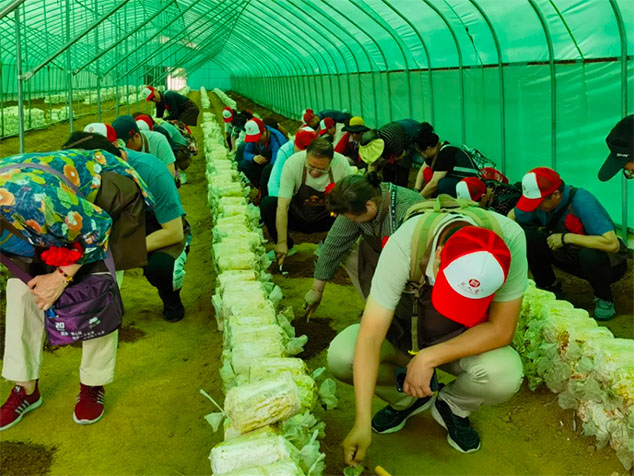 芝人堂“泰山芝约”健康伴你行第11期活动圆满落幕，共赴健康新旅程！(图30)