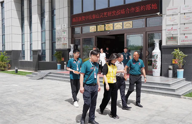 热烈祝贺中法泰山灵芝研发战略合作签约落地(图10)