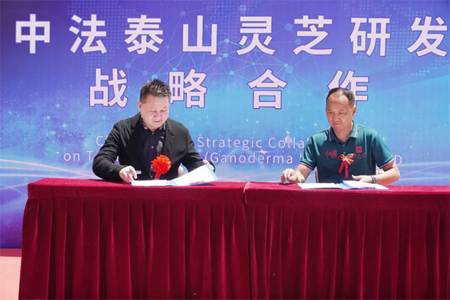 热烈祝贺中法泰山灵芝研发战略合作签约落地(图6)