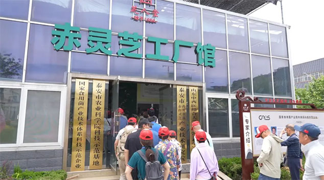 芝人堂“泰山芝约”健康伴你行第11期活动圆满落幕，共赴健康新旅程！(图33)