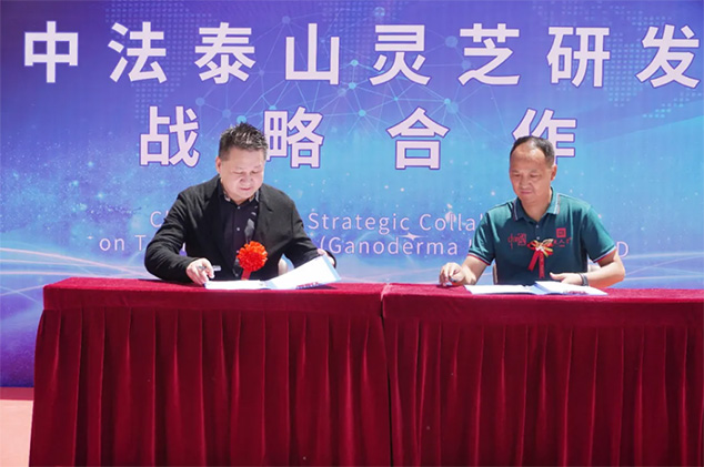 千年灵芝对话现代工业，芝人堂产业园解码“仙草”的时空之旅(图6)
