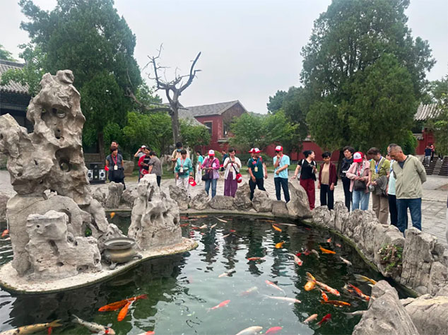 芝人堂“泰山芝约”健康伴你行第11期活动圆满落幕，共赴健康新旅程！(图26)