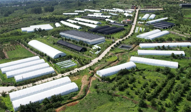 芝人堂主导起草三项灵芝团体标准 以专业匠心树立行业品质标杆(图5)